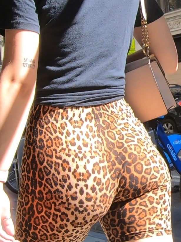 Candid Booty Jaguar Shorts
